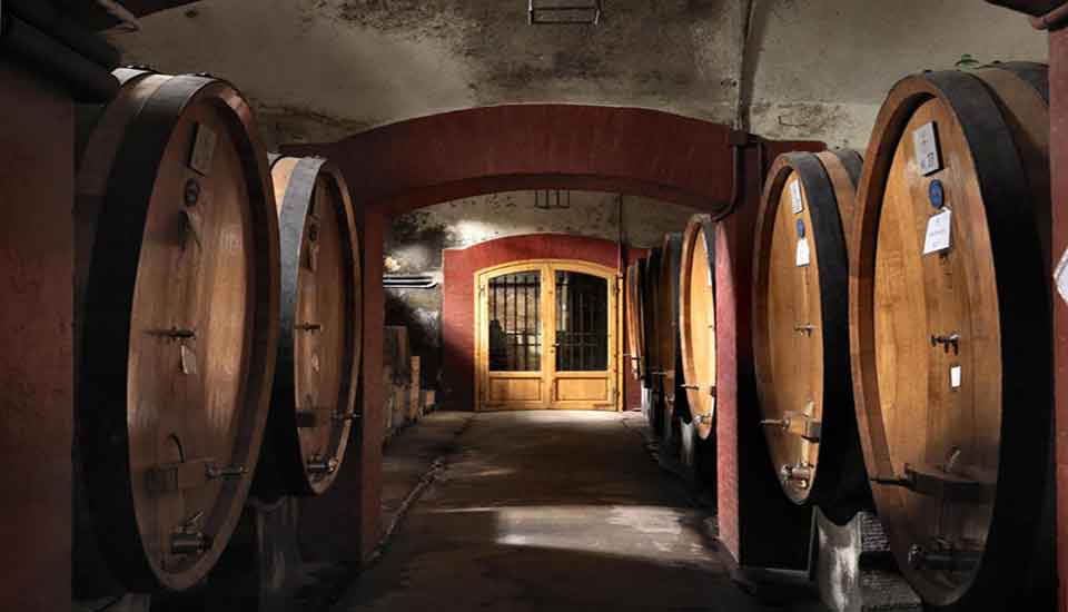 Wine Tour 